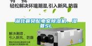 湖北襄樊配电室除湿机，湿菱SL