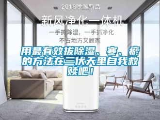 企业新闻用最有效拔除湿、寒、瘀的方法在三伏天里自我救赎吧！