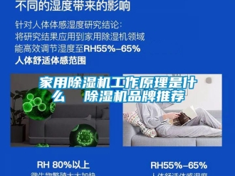 企业新闻家用除湿机工作原理是什么  除湿机品牌推荐