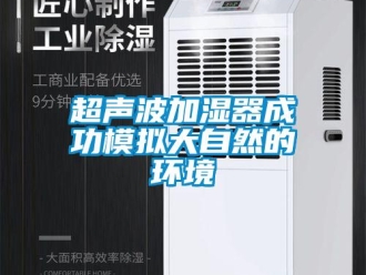 企业新闻超声波加湿器成功模拟大自然的环境