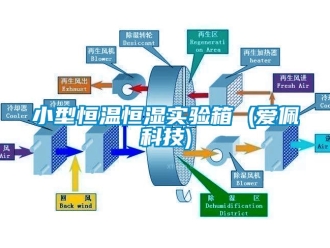 知识百科小型恒温恒湿实验箱 (爱佩科技)