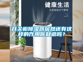 行业新闻开关柜除湿器居然还有这样的作用你知道吗？