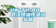 HW-TH-80  武汉恒温恒湿试验箱