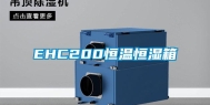EHC200恒温恒湿箱