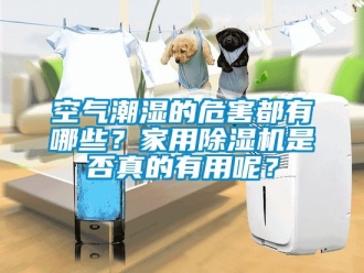 常见问题空气潮湿的危害都有哪些？家用除湿机是否真的有用呢？