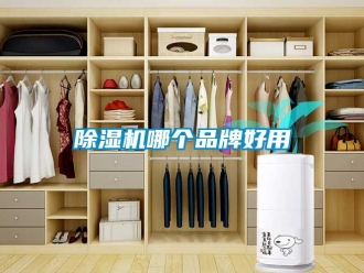 企业新闻除湿机哪个品牌好用