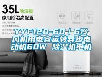 企业新闻YYF120-60／6冷风机用电容运转异步电动机60W 除湿机电机