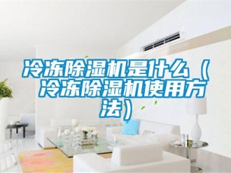 行业新闻冷冻除湿机是什么（ 冷冻除湿机使用方法）