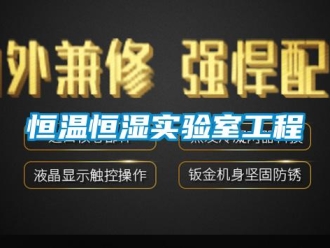 知识百科恒温恒湿实验室工程