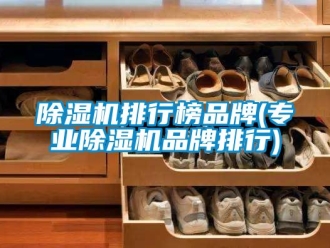 企业新闻除湿机排行榜品牌(专业除湿机品牌排行)