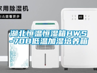 知识百科湖北恒温恒湿箱HWS-70B低温加湿培养箱