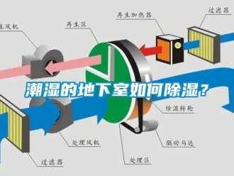 企业新闻潮湿的地下室如何除湿？