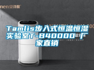 常见问题Tamlis步入式恒温恒湿实验室T-B40000 厂家直销