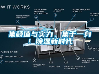 行业新闻集颜值与实力，集于一身！除湿新时代