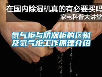 企业新闻氮气柜与防潮柜的区别及氮气柜工作原理介绍