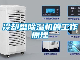 行业新闻冷却型除湿机的工作原理