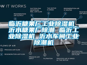 常见问题临沂糖果厂工业除湿机 沂水糖果厂除潮 临沂工业除湿机 沂水车间工业除潮机