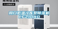 周口低温冷库型除湿机CFZ10BD