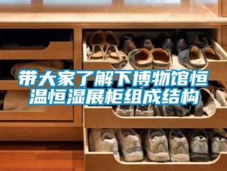 知识百科带大家了解下博物馆恒温恒湿展柜组成结构