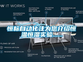 知识百科恒标自动化注为您介绍恒温恒湿实验......