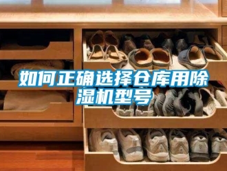 企业新闻如何正确选择仓库用除湿机型号