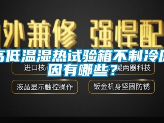 常见问题高低温湿热试验箱不制冷原因有哪些？