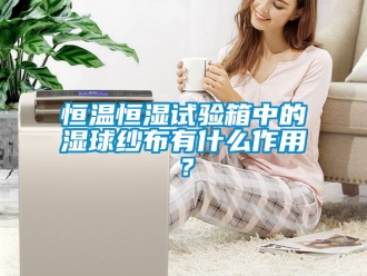 知识百科恒温恒湿试验箱中的湿球纱布有什么作用？