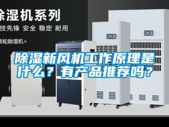 常见问题除湿新风机工作原理是什么？有产品推荐吗？