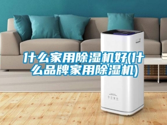 企业新闻什么家用除湿机好(什么品牌家用除湿机)