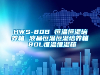 常见问题HWS-80B 恒温恒湿培养箱 液晶恒温恒湿培养箱 80L恒温恒湿箱