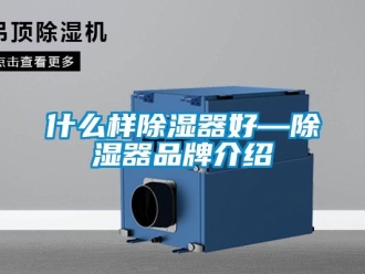 行业新闻什么样除湿器好—除湿器品牌介绍