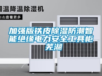 常见问题加强版铁皮除湿防潮智能绝缘电力安全工具柜 芜湖