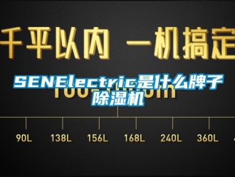 企业新闻SENElectric是什么牌子除湿机