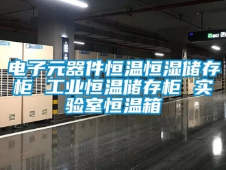 知识百科电子元器件恒温恒湿储存柜 工业恒温储存柜 实验室恒温箱