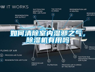 行业新闻如何清除室内湿邪之气，除湿机有用吗