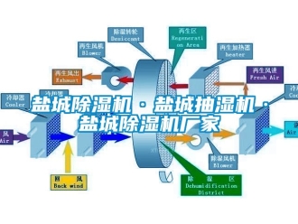 企业新闻盐城除湿机·盐城抽湿机·盐城除湿机厂家