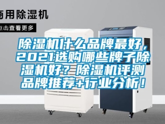 企业新闻除湿机什么品牌最好，2021选购哪些牌子除湿机好？除湿机评测品牌推荐+行业分析！