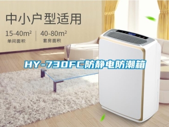 企业新闻HY-730FC防静电防潮箱