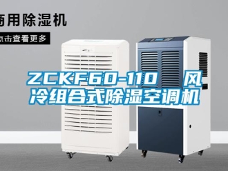 企业新闻ZCKF60-110  风冷组合式除湿空调机