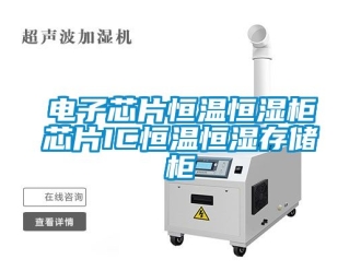 知识百科电子芯片恒温恒湿柜芯片IC恒温恒湿存储柜