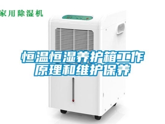 知识百科恒温恒湿养护箱工作原理和维护保养