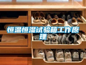 知识百科恒温恒湿试验箱工作原理