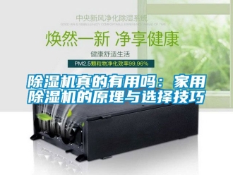 常见问题除湿机真的有用吗：家用除湿机的原理与选择技巧