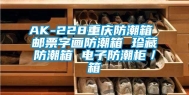 AK-228重庆防潮箱 邮票字画防潮箱 珍藏防潮箱 电子防潮柜／箱