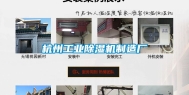 杭州工业除湿机制造厂