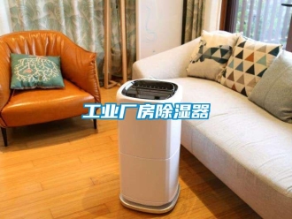 行业新闻工业厂房除湿器