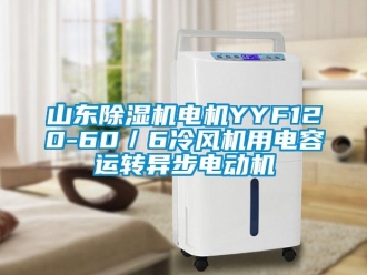 行业新闻山东除湿机电机YYF120-60／6冷风机用电容运转异步电动机