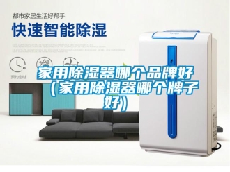 行业新闻家用除湿器哪个品牌好（家用除湿器哪个牌子好）